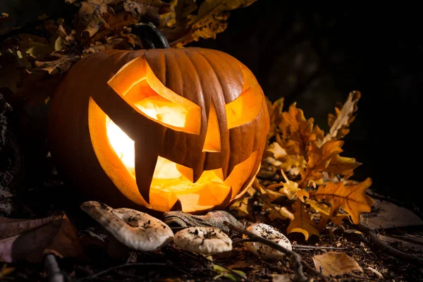 Halloween-Kürbis im Freien — Stockfoto