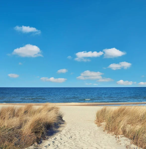 Entrance to the beach in Rugen island, Northern Germany — Stock Photo, Image