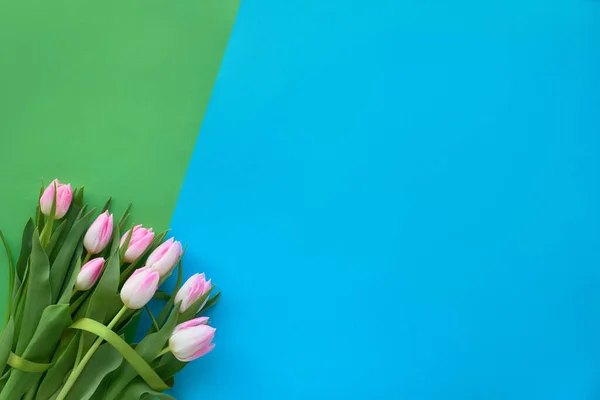 Springtime blue and green paper background with pink tulips — Stock Photo, Image