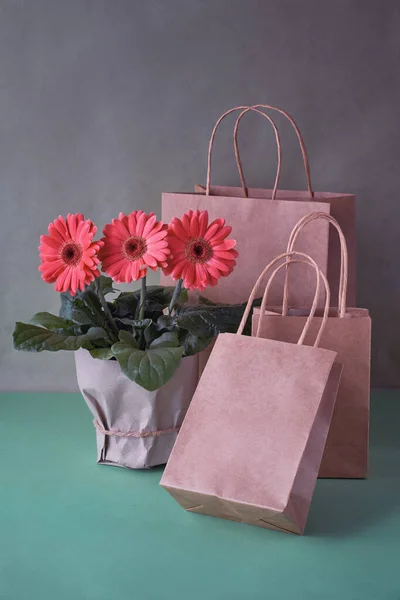 Korallen Gerbera Gänseblümchen Blumen und Handwerk papper Einkaufstaschen auf gr — Stockfoto