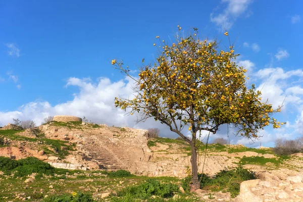 Ancient ruins in Kato Paphos Archaeological Park in Cyprus — Stock Photo, Image