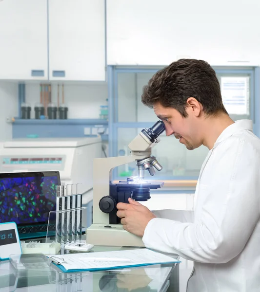 Manlig forskare eller tekniker arbetar med mikroskop — Stockfoto