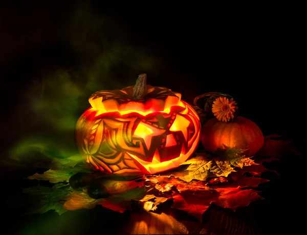 Halloween abóbora no fundo preto — Fotografia de Stock