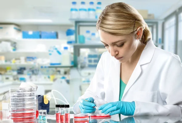 Jovem tecnologia energética feminina ou cientista trabalha em laboratório de pesquisa — Fotografia de Stock