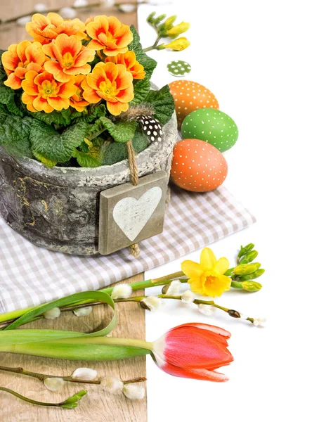 Fronteira de Páscoa com prímula, flores de primavera e decorações — Fotografia de Stock