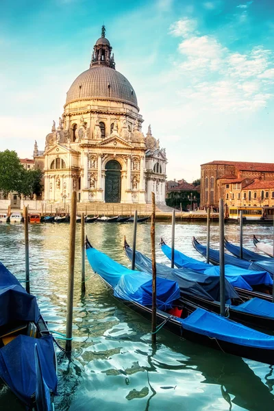 Góndolas y Basílica de Santa Maria della Salute en Venecia —  Fotos de Stock