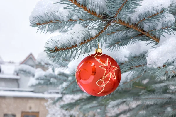 Bauble rosso con disegno della stella su un albero di Natale sotto la neve outdo — Foto Stock