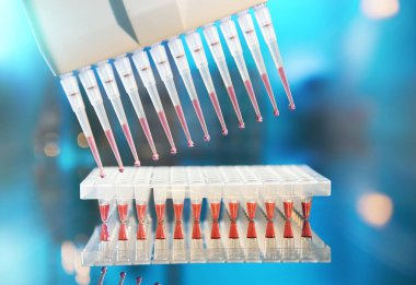 Bilimsel geçmiş. DNA analizi için boru uçları