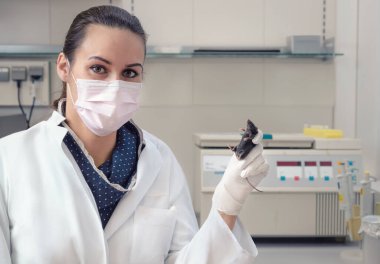 Dişi bilim adamları laboratuarda siyah fareyle ilgileniyorlar.