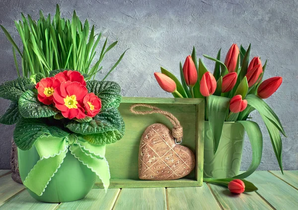 Easter composition with red tulips and primrose flowers, green b — Stock Photo, Image