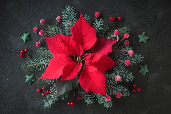 Χριστουγεννιάτικο αστέρι λουλούδι, ή poinsettia, και διακοσμημένα έλατο twi δέντρο — Φωτογραφία Αρχείου