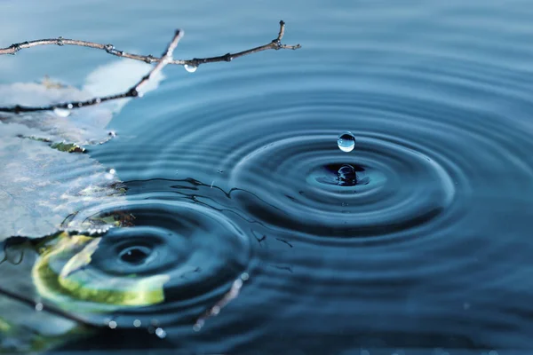 Rings on water surface — Stock Photo, Image