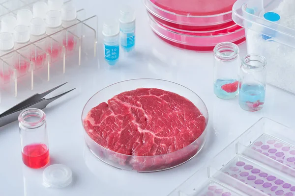 Meat Sample Open Disposable Plastic Cell Culture Dish Modern Laboratory — Stock Photo, Image