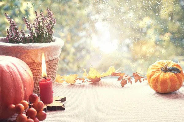 Décorations d'automne sur un panneau de fenêtre un jour de pluie, espace — Photo