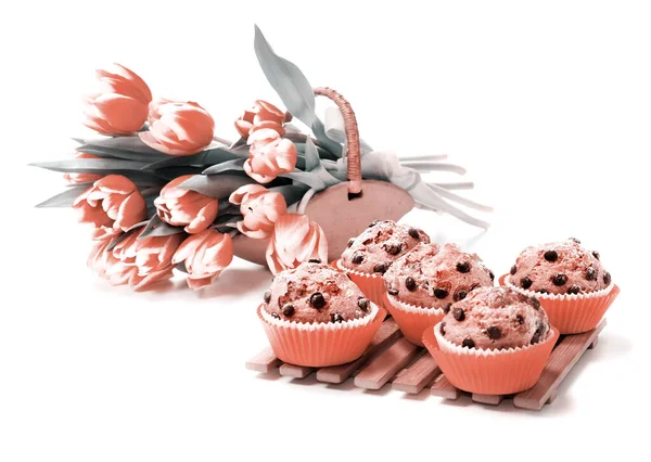 Muffins et tulipes à copeaux de choc — Photo