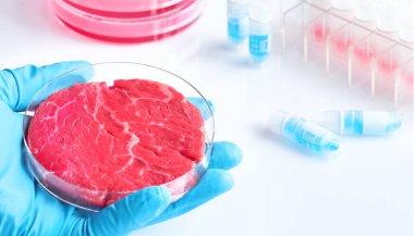 Mod açık tek kullanımlık plastik hücre kültür çanak et örneği