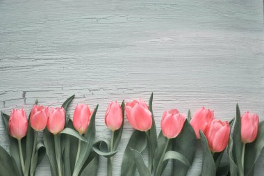 Açık yeşil dokulu ahşap arka plan üzerinde pembe lale ile Bahar arka plan, kopya-alan