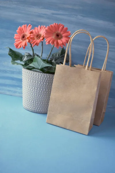 Korallen Gerbera Gänseblümchen Blumen und Handwerk papper Einkaufstaschen auf bl — Stockfoto