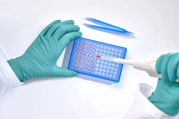 Руки в рукавички зібрати ПЛР реакції для аналізу ДНК — стокове фото