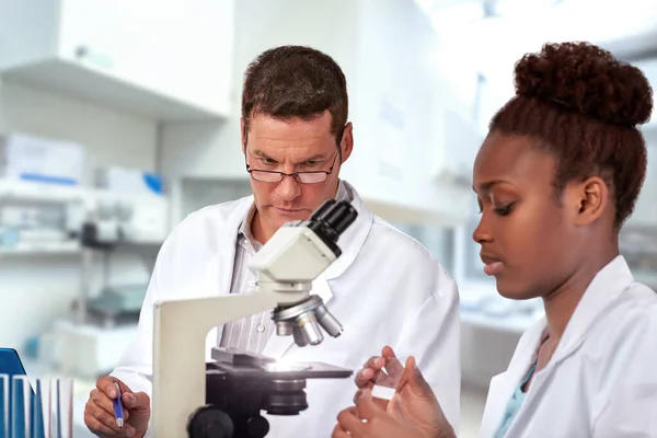 Naukowcy, mężczyzna i kobieta, praca w zakładzie badań — Zdjęcie stockowe