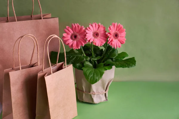 Korallen Gerbera Gänseblümchen Blumen und Handwerk papper Einkaufstaschen auf gr — Stockfoto