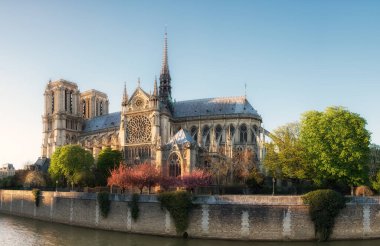 Paris 'in Notre Dame' ı İlkbaharda öğleden sonra