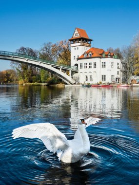 Beyaz Kuğu treptow Park, berlin