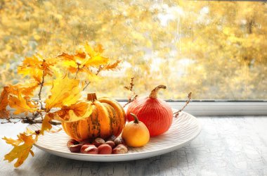 Balkabakları ve sarı meşe yaprakları yağmurlu bir günde pencere tahtasının üzerinde.