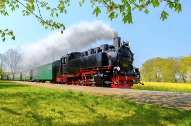 Tarihsel Alman buhar treni Sprin 'deki tarlalardan geçiyor.