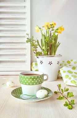 Sarı nergis ve bir fincan nergisli bahar tebrik kartı tasarımı