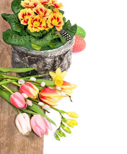 Borde de Pascua con flores de primavera yhuevos en madera y espalda blanca —  Fotos de Stock