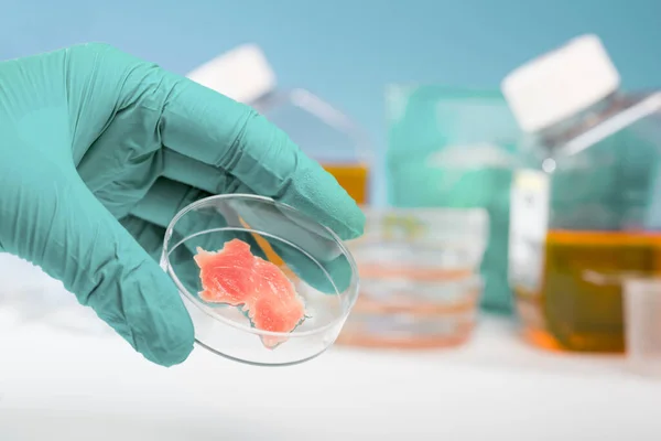 Meat Cultured Laboratory Conditions — Stock Photo, Image