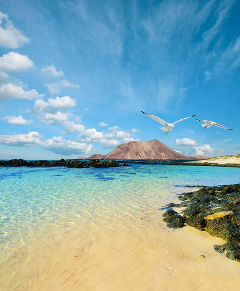 Orilla Del Mar Fuerteventura Islas Canarias España — Foto de Stock