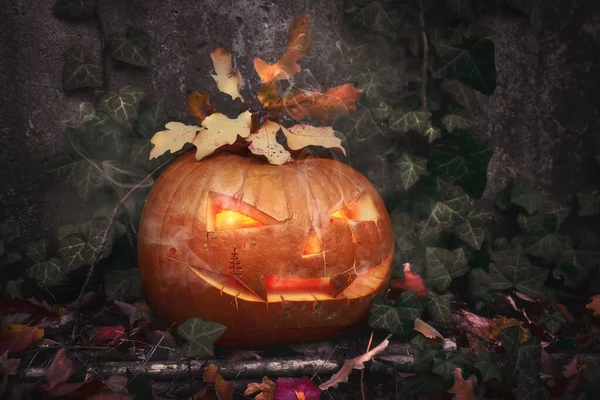 Abóbora de Halloween ao ar livre com vela dentro e folhas de hera — Fotografia de Stock