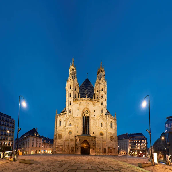 Katedrála Štěpána Stephansdom Vídni Rakousko Soumraku Panoramatický Obraz — Stock fotografie