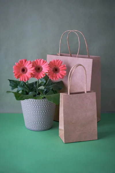 Korallen Gerbera Gänseblümchen Blumen und Handwerk papper Einkaufstaschen auf pa — Stockfoto