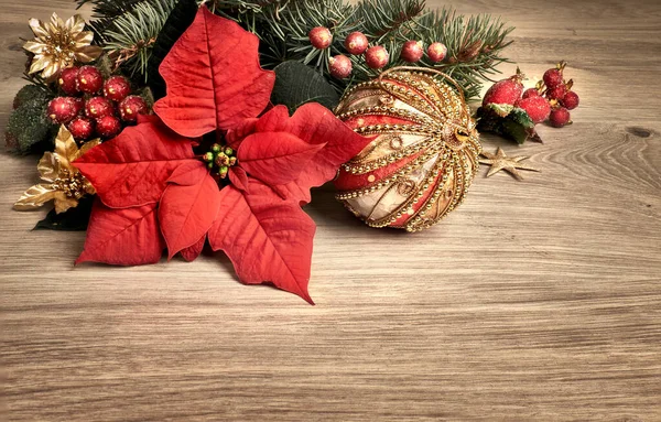 Wooden background with poinsettia, or Christmas Star, text space — Stock Photo, Image