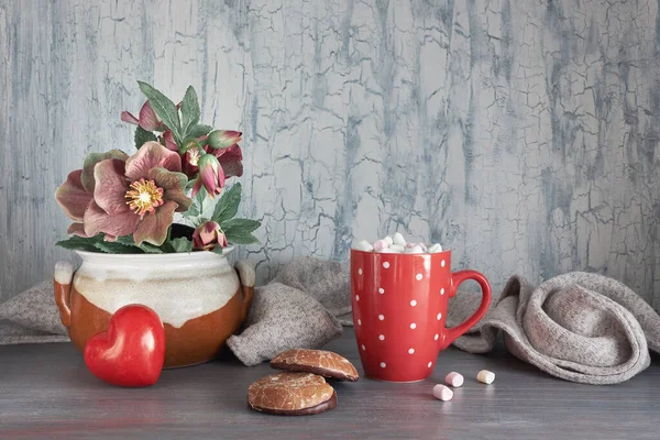 Invierno, chocolate caliente con marismas, flores de anémona, hea — Foto de Stock