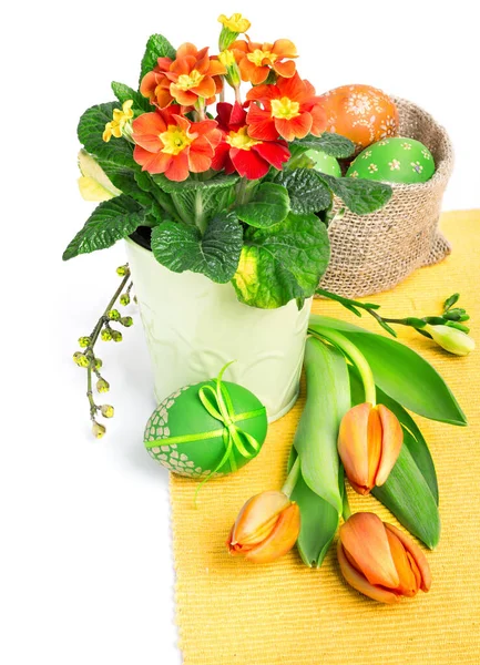 Borda de Páscoa com tulipas de laranja e primulas em branco — Fotografia de Stock