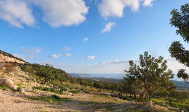 Deniz kenarına doğru eğimli farklı meyve ağaçları olan bir çiftliğe panoramik bir manzara, resim gibi mavi bulutlu gökyüzü ile güzel bir manzara.