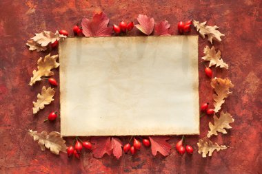 Metin alanı, telif alanı ve eski kağıt üzerinde Doğal Sonbahar arkaplanı. Sonbahar yaprakları, parlak boyalı arka planda kırmızı ve turuncu tonlarda düz yatıyordu. Kırmızı ve sarı meşe yaprakları ve gül kalçası meyvesi.