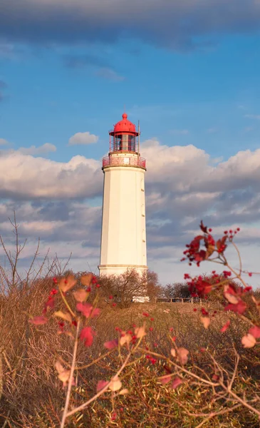 Zogenaamde Dornbusch Vuurtoren Van Het Eiland Hiddensee Herfst Het Noorden — Stockfoto