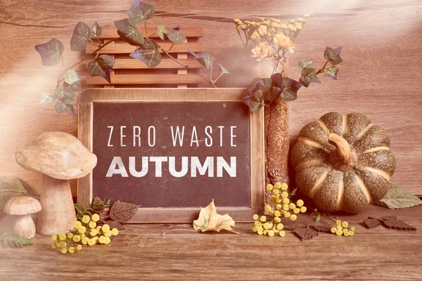 Autumn Rustic Decorations Text Zero Waste Autumn Blackboard Natural Fall — Stock Photo, Image