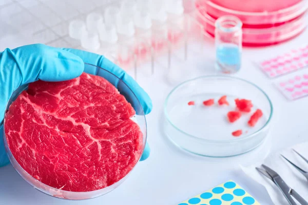 Köttprov Öppen Disponibel Plast Cell Odling Skålen Moderna Laboratorium Eller — Stockfoto