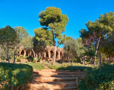 Çam ağaçları ve terakotta kil kemerleri, merdivenli panoramik görüntü. Barcelona 'daki Park Guell Antonio Gaudi tarafından inşa edildi.