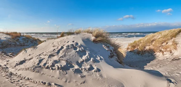 Cykelväg Och Gångväg Till Stranden Hiddensee Baltic See Norra Tyskland — Stockfoto