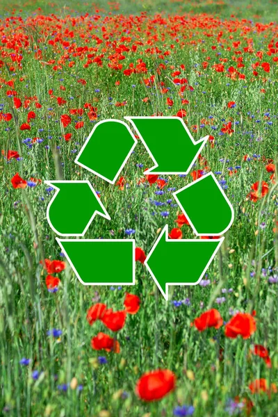 Composite image with green recycling symbol superimposed with image of red poppies and blue cornflowers outdoors on a field. Recycling is good for environment.
