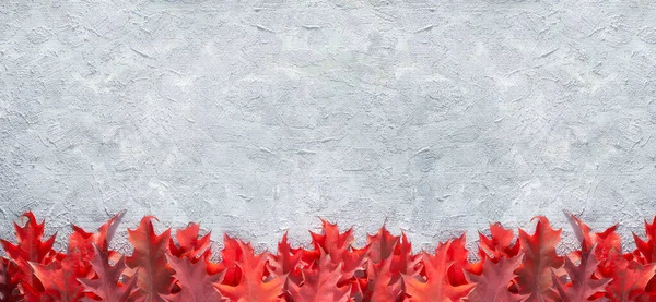 灰色の質感の背景に赤いオークの葉で作られた装飾的な境界線 コピースペースとパノラマ画像 — ストック写真