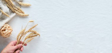 Beyaz tekstil arka planında buğday kulakları olan panoramik bir daire. Beyaz keten masa örtüsü, üst manzara, sonbahar hasat konsepti..