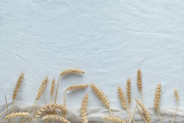 Beyaz tekstil arka planında buğday kulaklı düz bir zemin. Kopya alanı ile en az sonbahar hasat tasarımı.